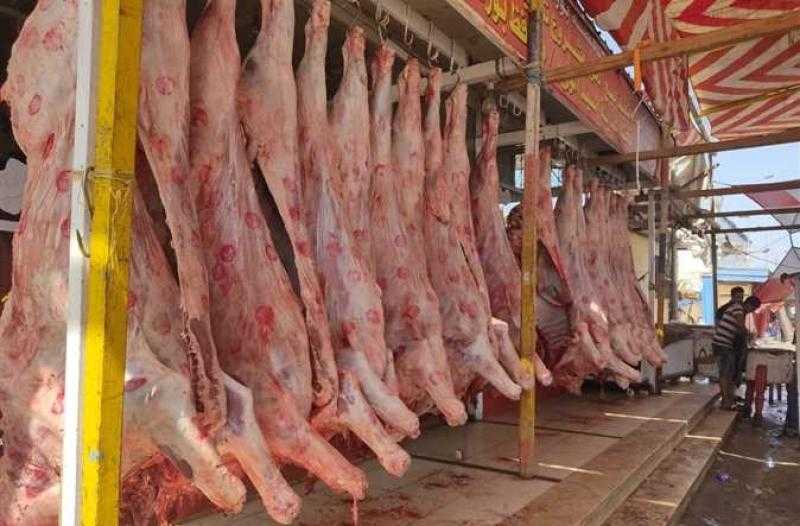«الثروة الداجنة» تؤكد: أسعار اللحوم والدواجن ارتفعت بنسبة 20% - فيديو