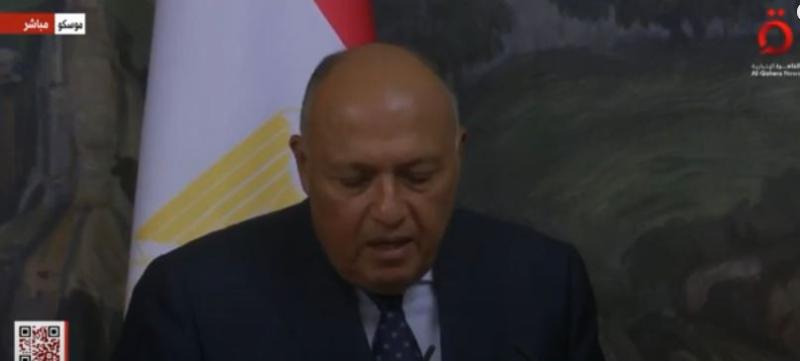 ماذا دار بين شكري ونظيره الروسي بشأن الأزمة الأوكرانية؟.. «فيديو»