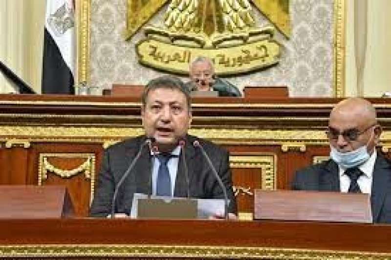 النائب طارق شكري