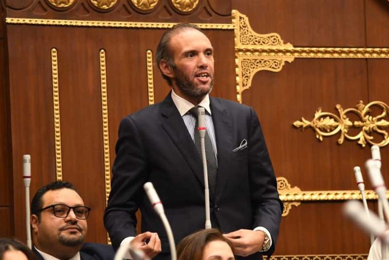 عضو تنسيقية شباب الأحزاب والسياسيين بمجلس الشيوخ محمد فريد