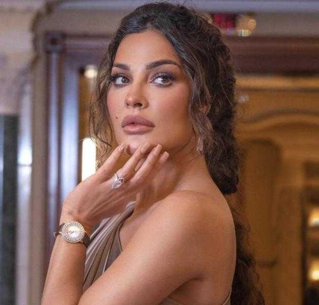 «طلب يدها في مشهد رومانسي».. من هو خطيب الفنانة اللبنانية نادين نجيم؟