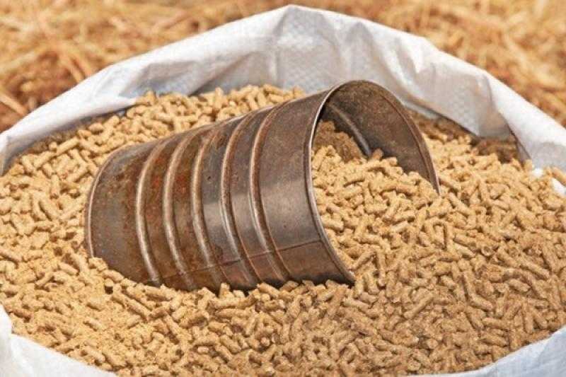 سعر شيكارة العلف اليوم 15 رمضان عند التاجر