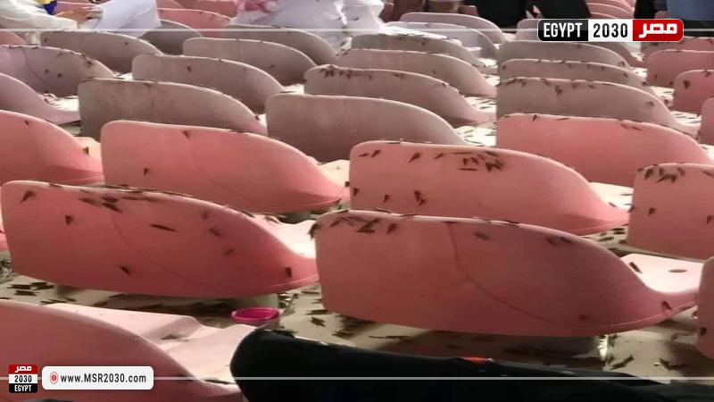 «الجراد» في ملعب مباراة النصر