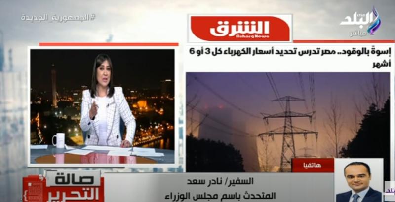 السفير نادر سعد