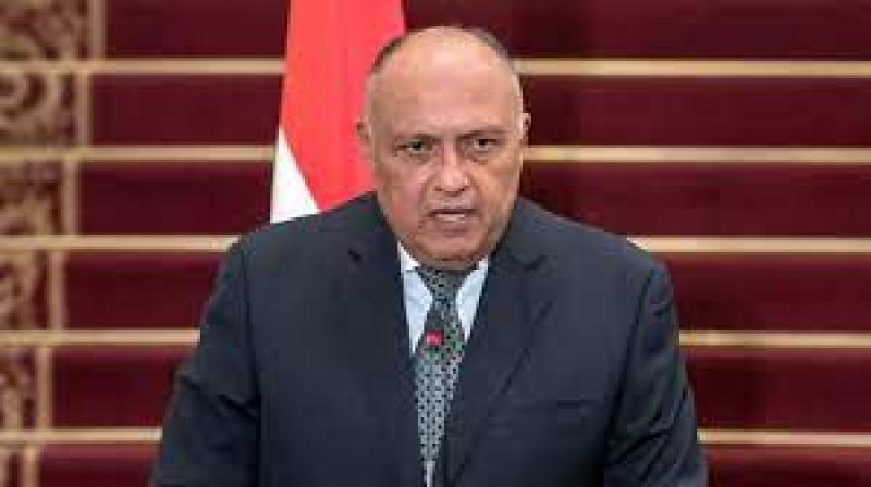 وزير الخارجية-سامح شكري