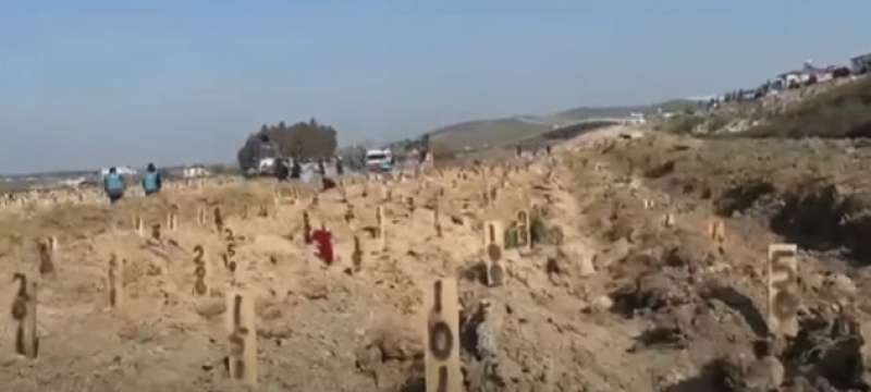 صورة من مقطع الفيديو