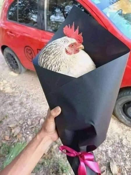 هدية عيد الحب