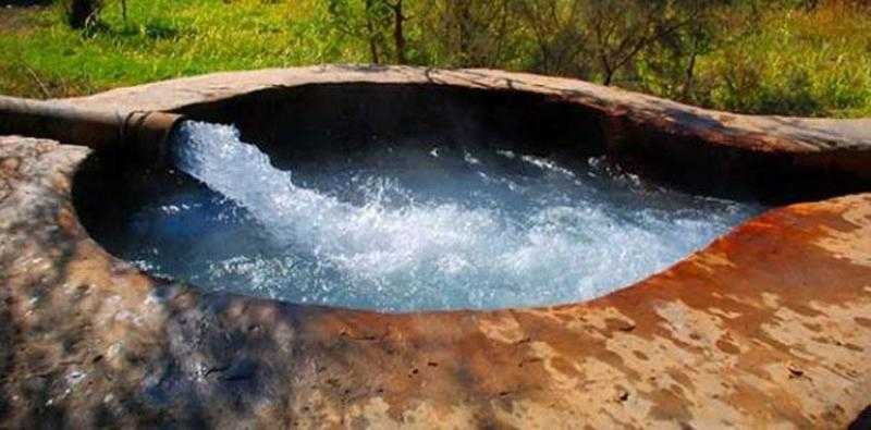 الري: السحب الجائر للمياه الجوفية أدى لتضرر النباتات بشكل كبير.. «فيديو»