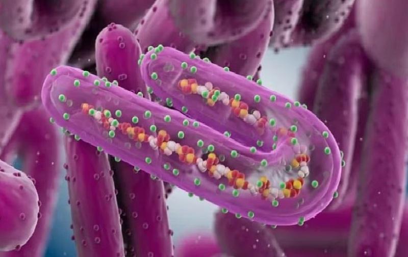 يؤدي لفشل وظائف أعضاء الجسم.. مخاطر الإصابة بفيروس «ماربورج»