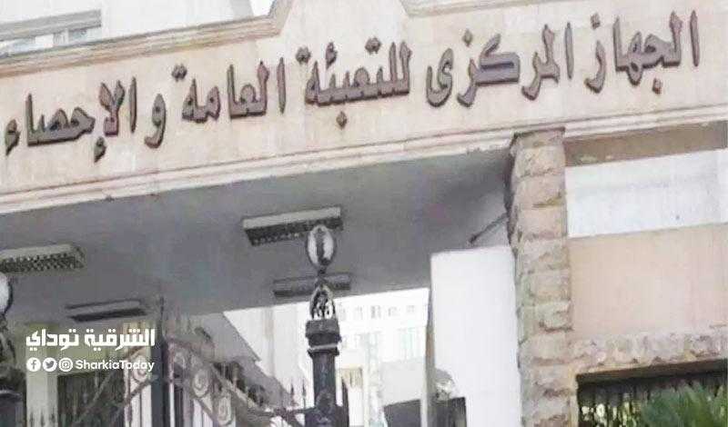 المركزي للإحصاء: 252 مليون دولار صادرات مصر من الفاكهة لـ روسيا