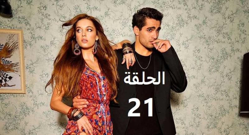 طائر الرفراف حلقه 21