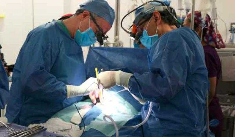المنيسي: مدة الانتظار لعمليات القلب المفتوح أصبحت لا تتجاوز الـ 3 أسابيع «فيديو»