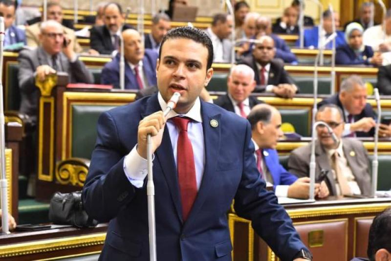 عبد المنعم إمام أمين سر لجنة الخطة والموازنة، ورئيس حزب العدل