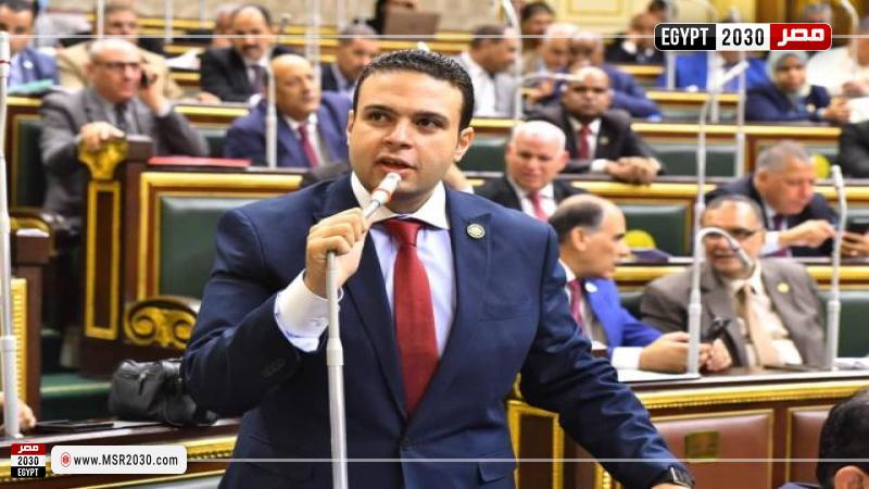 عبد المنعم إمام أمين سر لجنة الخطة والموازنة، ورئيس حزب العدل