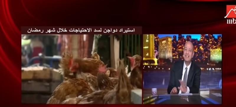 عمرو أديب: ماحدش بيحب البلد أكتر ما بيحب جيبه.. فيديو