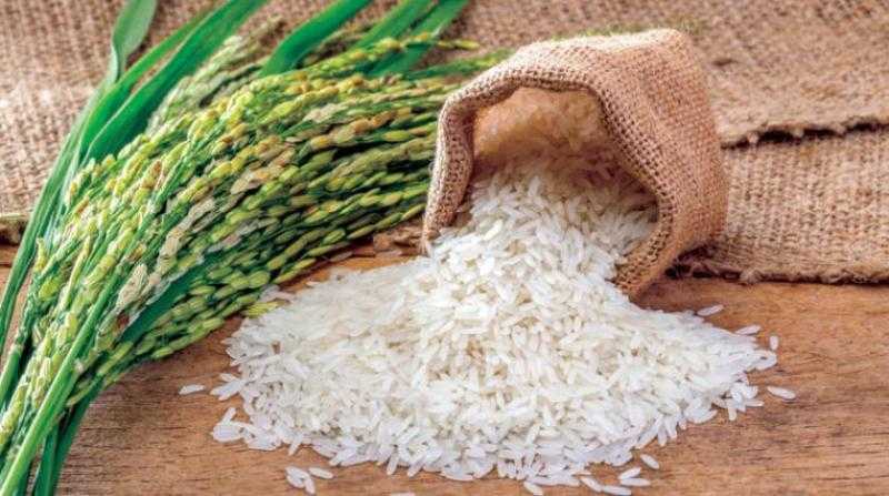 انخفاض 1000 جنيه في سعر طن الأرز اليوم الأربعاء