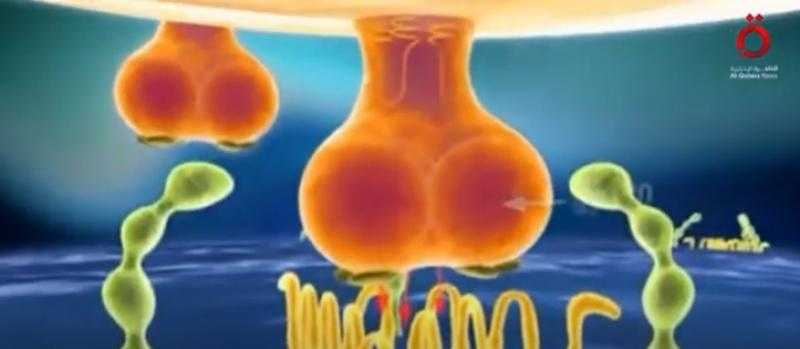 شاهد.. اكتشاف علمي جديد لعلاج نقص المناعة بواسطة الخلايا الجذعية