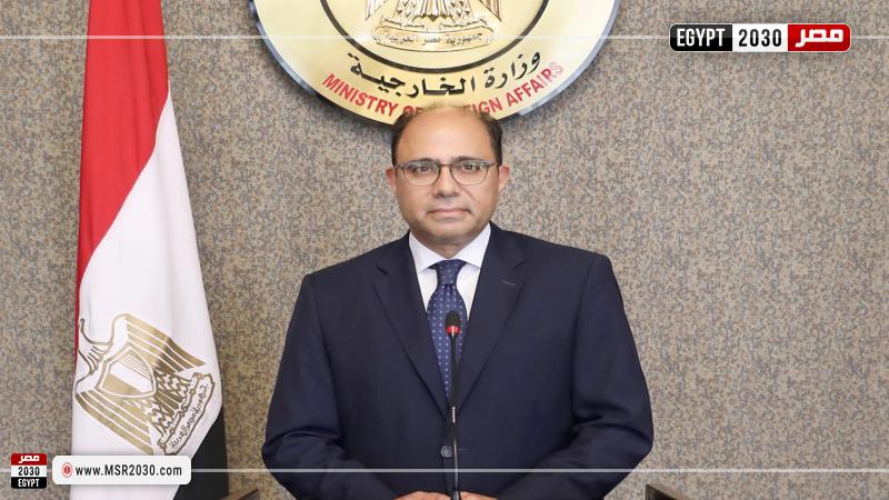 السفير أحمد أبو زيد