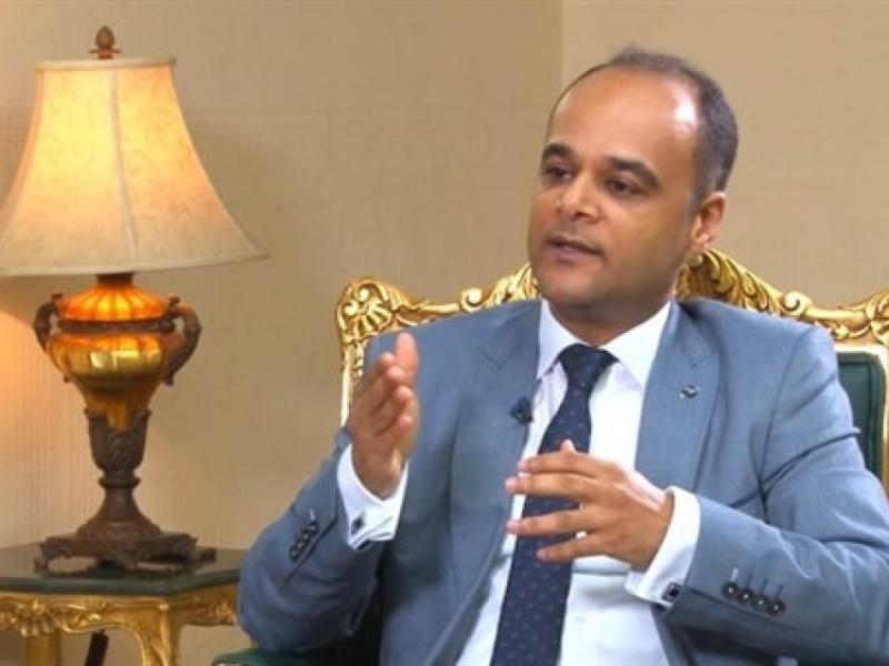 السفير نادر سعد