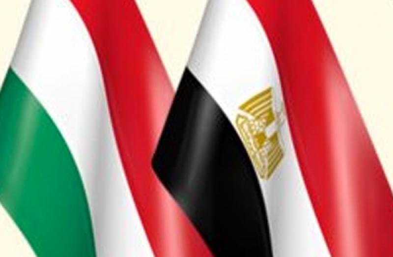 العلاقات المصرية المجرية