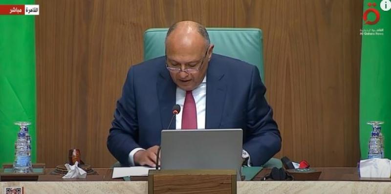 شكري: القوة العربية إذا اجتمعت سيصبح صوتنا مسموع إقليميا وعالميا