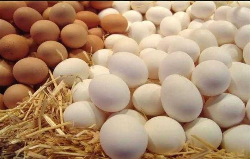 الشيف الشربيني عن بيض البودر: «ما عرفوش ومش هينفع عيون».. فيديو