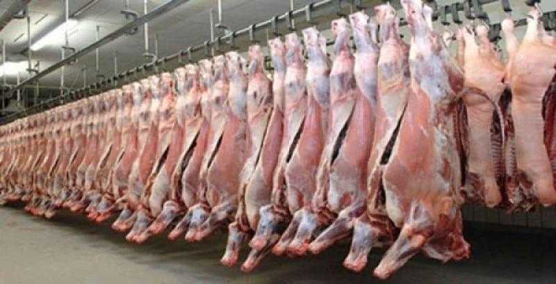 أماكن طرح أول شحنة لحوم تشادية في الأسواق.. فيديو