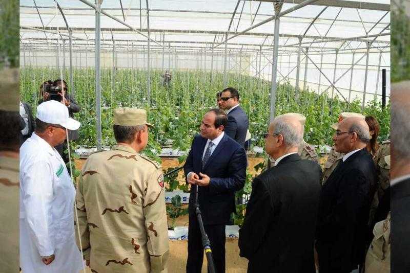 سيد خليفة: أكثر من 3 ملايين فدان دخلوا الرقعة الزراعية بمصر في 5 سنوات - فيديو