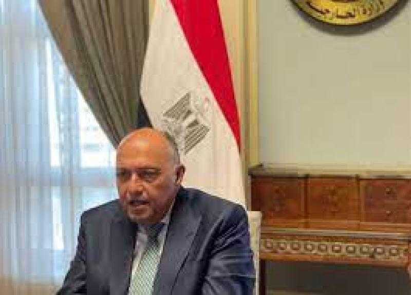 شكرى: تباحثنا مع وزير خارجية تركيا حول جميع قضايا العلاقات الثنائية