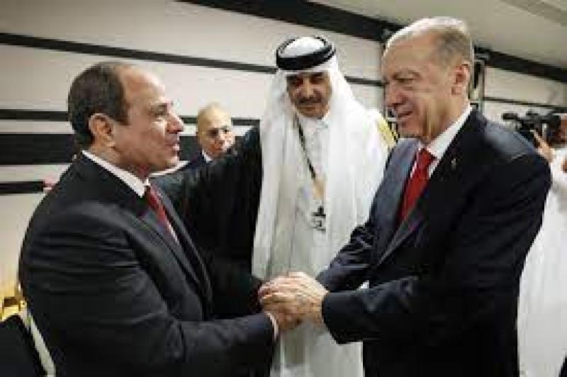 الرئيس السيسي والرئيس أردوغان