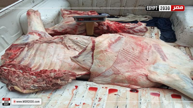 ضبط 200 كيلو لحوم غير صالحة للاستهلاك الآدمي بالبحيرة