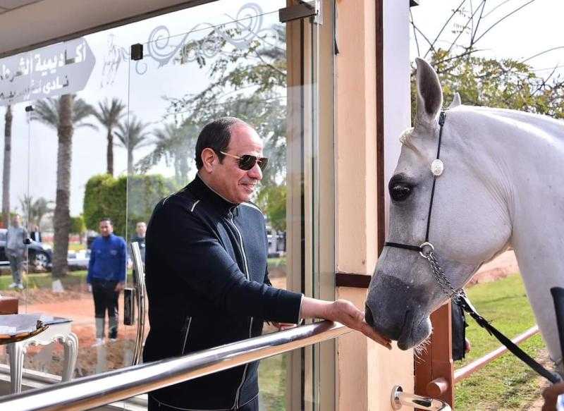 شاهد.. الرئيس السيسي يطعم خيول أكاديمية الشرطة