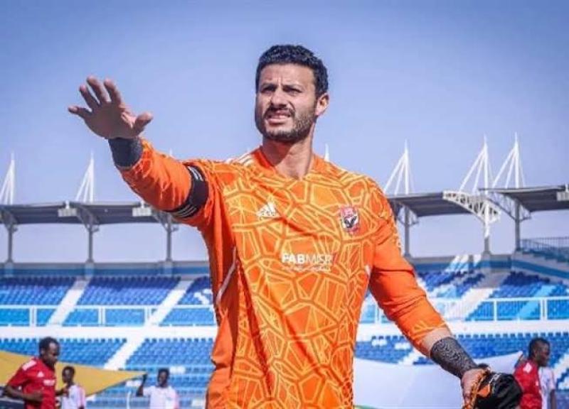 محمد الشناوي 