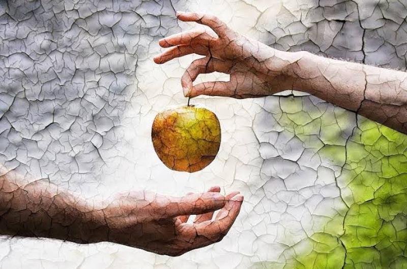 هل حواء السبب في خروج آدم من الجنة وهبوطه إلى الأرض؟