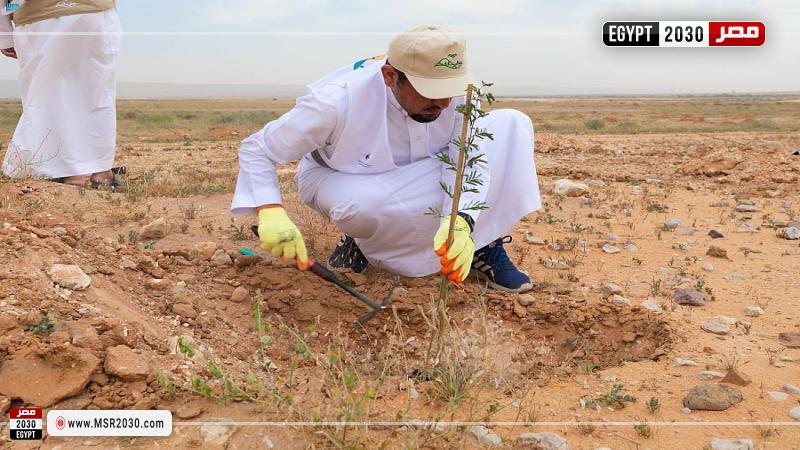 صورة من الحدث 