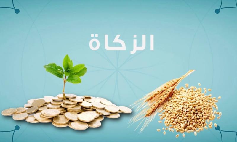 زكاة الفطر