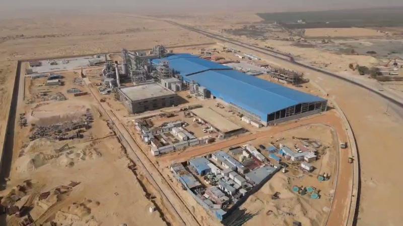  أول مجمع صناعي زراعي متكامل في الشرق الأوسط لإنتاج الأخشاب