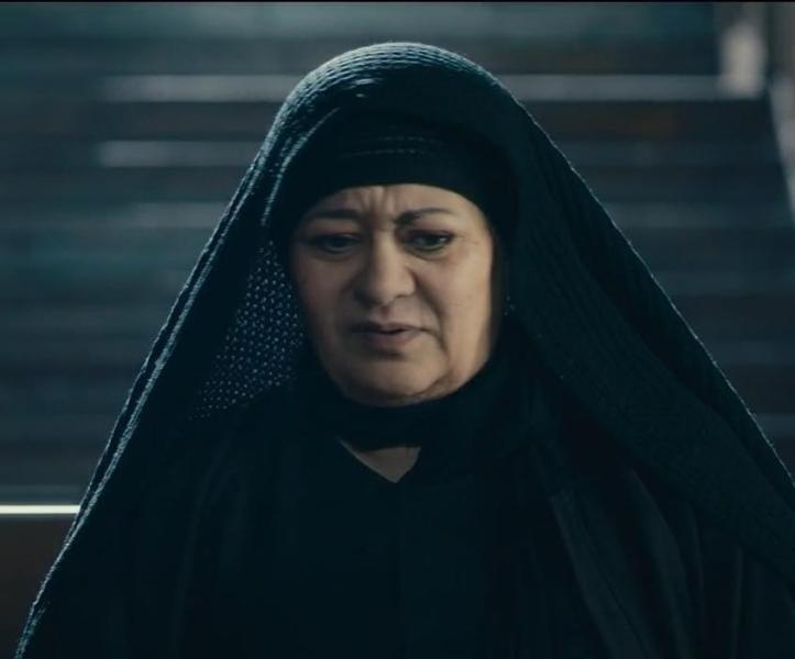 فريدة سيف النصر: «دوري في عملة نادرة أرهقني بشدة» - خاص