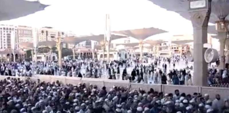 زيارة الروضة الشريفة