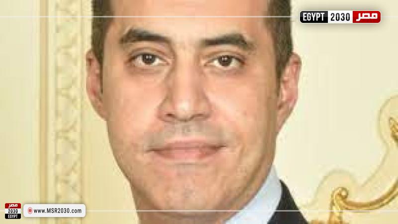 محمود فوزي