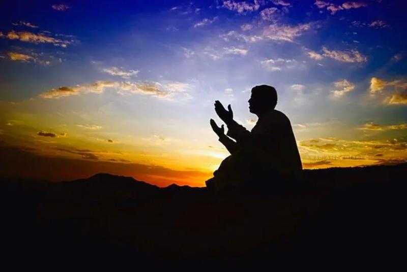 الشجرة الطيبة.. عمر هاشم: كلمة التوحيد تشفع لصاحبها يوم القيامة