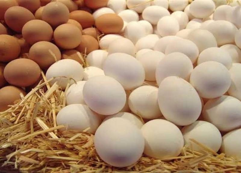 أسعار البيض البلدي والأحمر بالأسواق اليوم السبت 8-4-2023