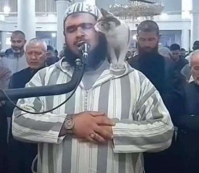 الشيخ الجزائري