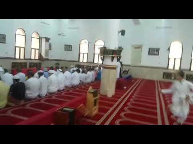 الكلب الذي أربك المصلين