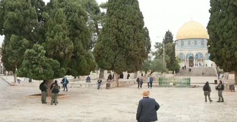 صورة من مقطع الفيديو