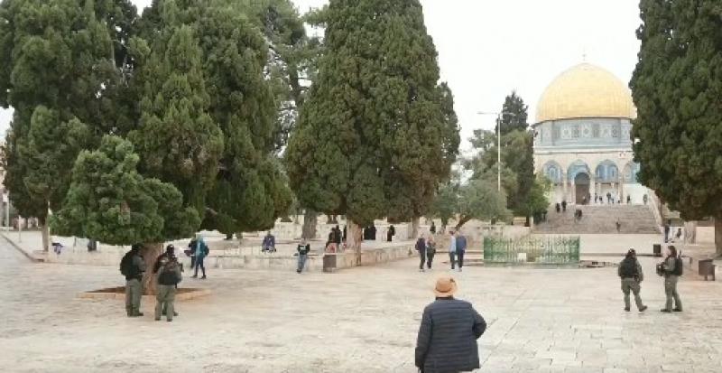 عشرات المستوطنين يقتحمون المسجد الأقصى تحت حراسة قوات الاحتلال.. «فيديو»