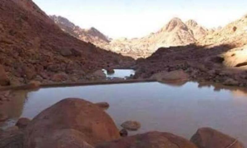 صورة أرشيفية