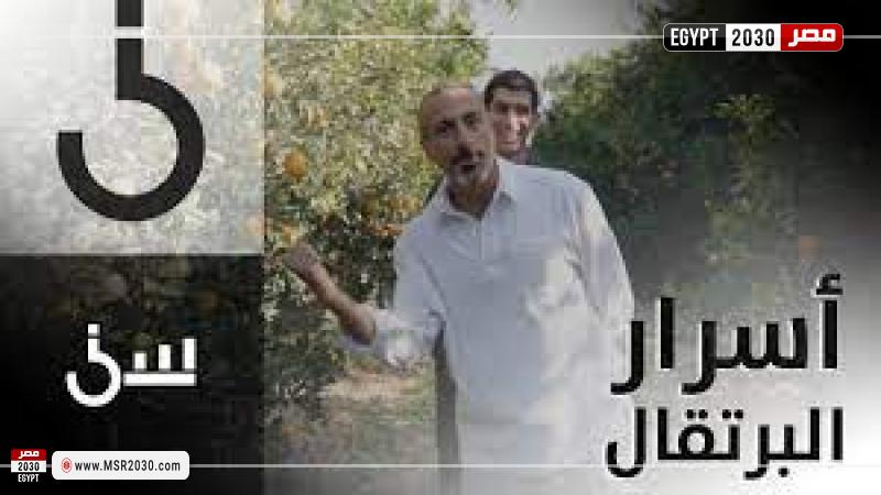 الشقيري في مزرعة برتقال