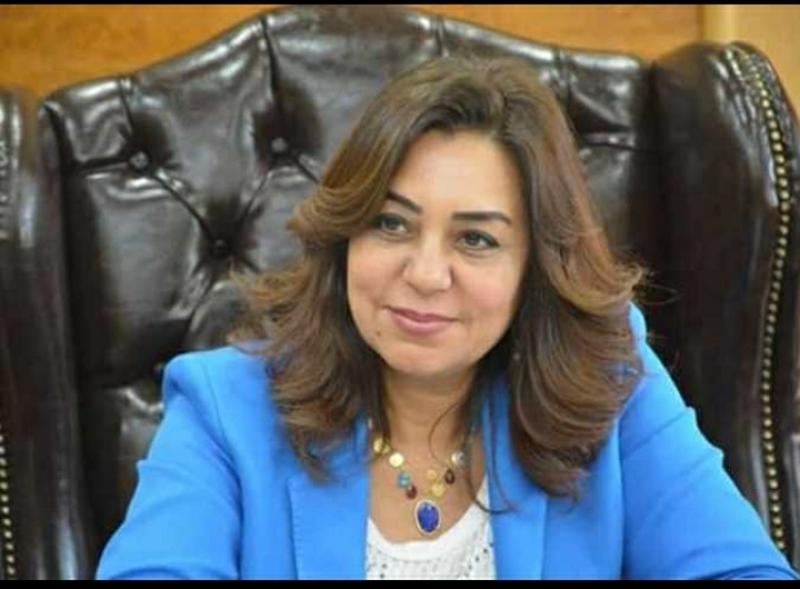 محافظ دمياط 
