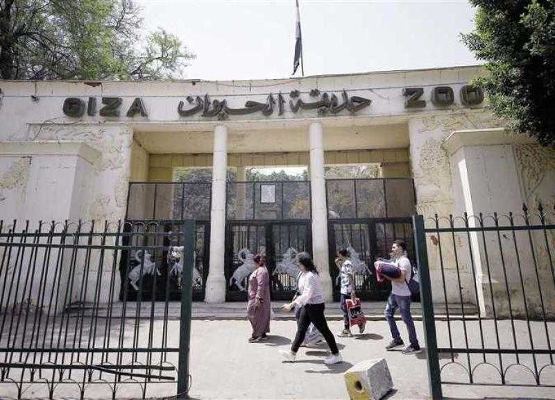 رفع أسعار تذاكر حديقة الحيوان بالجيزة تزامنًا مع العيد.. اعرف الحقيقة